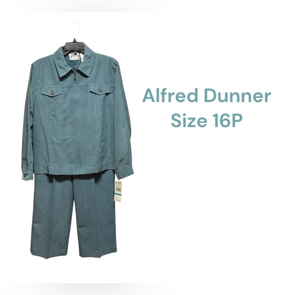 NWT ALFRED DUNNER 2 PIECE SET SIZE 16 PETITE.  POLYESTER BUT FEELS LIKE SUEDE - Picture 1 of 7